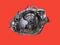 МКПП Fiat Scudo / Citroen Jumpy / Peugeot Expert 1.9 d/td (95-04) 20TB05