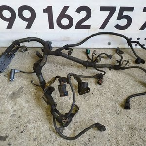 Проводка двигуна 1.7 CDTI Opel Astra H (04-10) / Combo (01-12) 55560210