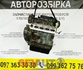 Двигун Iveco Daily 2.3 hpi (00-11) F1AE0481